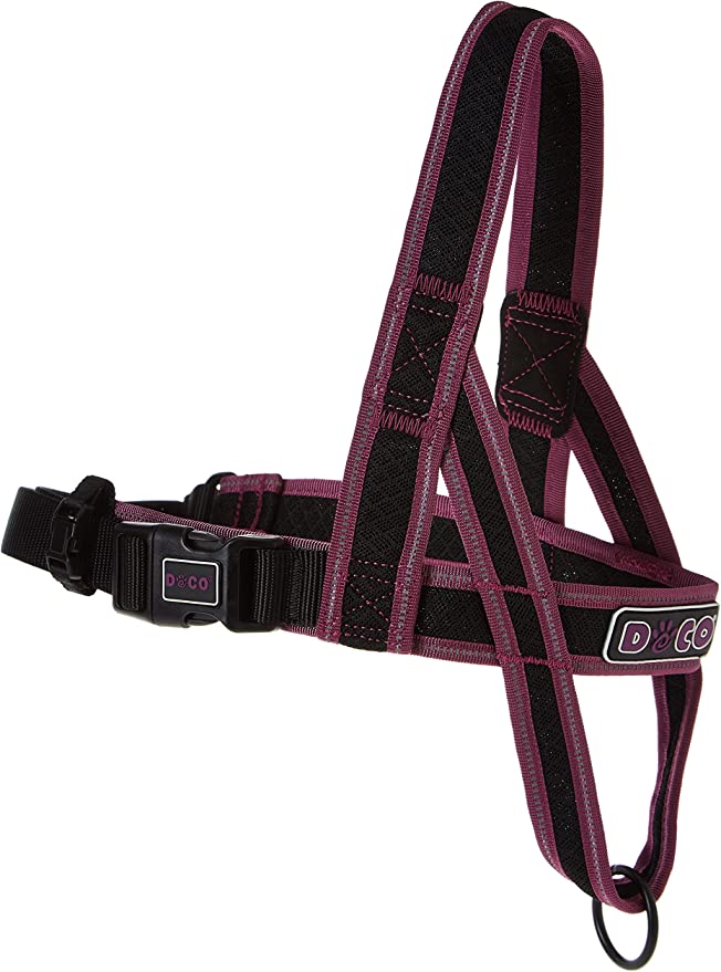 DCA207-06M DocoAthleticaCityWalkerMesh Purple