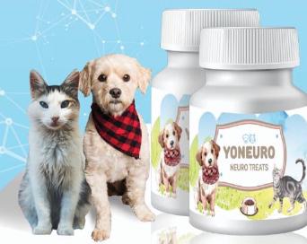 Yoneuro