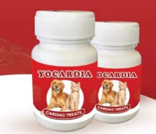 Yocardia