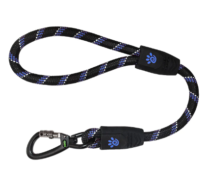 DCROPE5020-02L Doco20"ReflRopeLeashVer.5 Blue