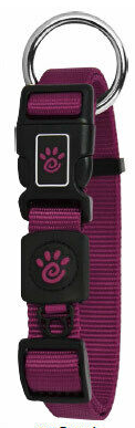 DCS006-06M Doco Sig. O-ring Collar Purple