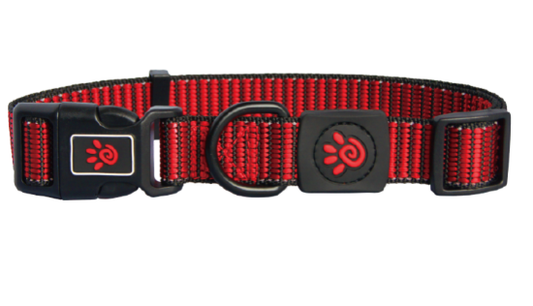 DCS008-03L Doco Nylon Pattern Collar Red