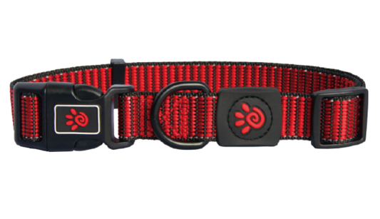 DCS008-03M Doco Nylon Patter Collar Red