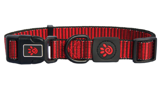DCS008-03S Doco Nylon Pattern Collar Red
