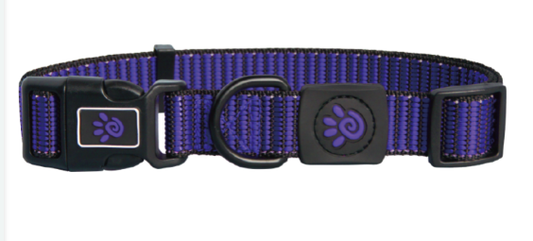 DCS008-06S Doco Nylon Patter Collar Purple