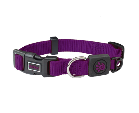 DCSN002-06M Doco Sig. Nylon Collar Purple