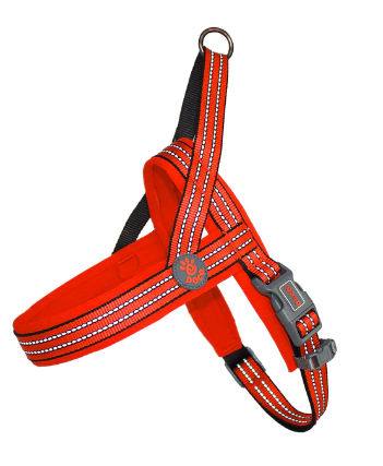 DCV201-08S/M Doco Vario Harness Orange