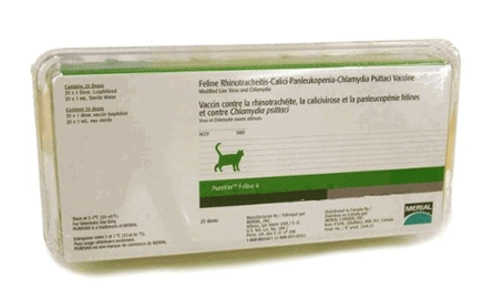 Feline 4 in 1 Purevax