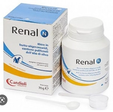 Renal N