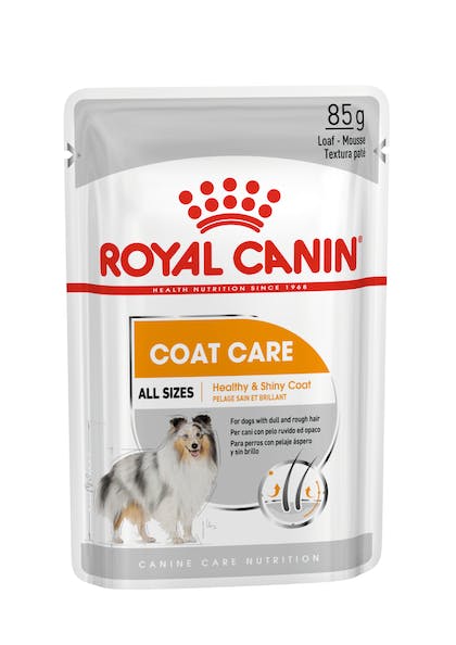 Royal Canin CCN Coat Loaf 85g