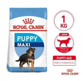 Royal Canin SHN Maxi Junior 1kg