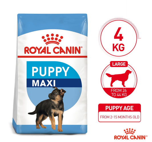 Royal Canin SHN Maxi Junior (Puppy) 4kg
