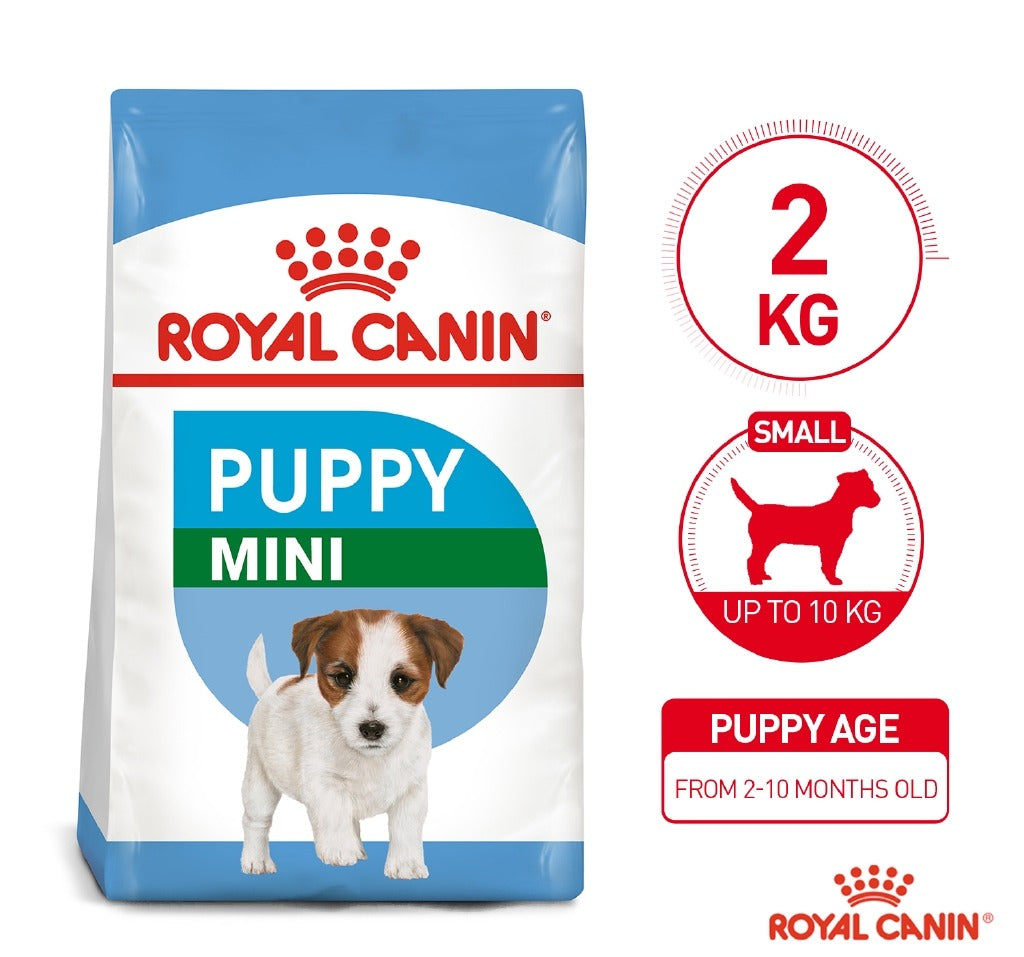 Royal Canin SHN Mini Junior 2kg