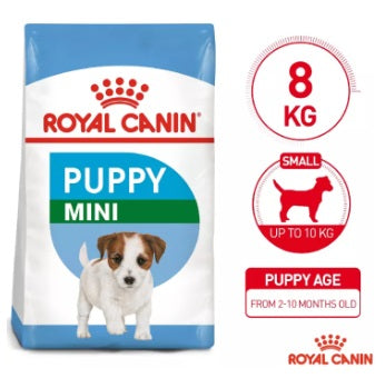 Royal Canin SHN Mini Junior 8kg