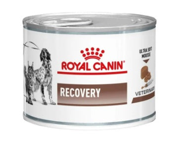 Royal Canin VD Recovery Fel/Can 195g