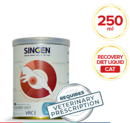 Singen Recovery Cat 250ml