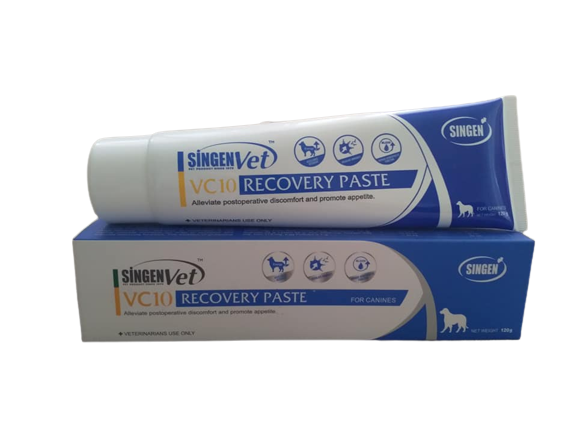 Singen Recovery Paste Dog 120g